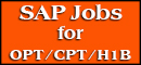 sap jobs
